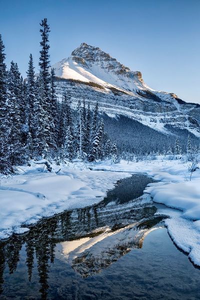 Canada-Alberta-Jasper National Park-Tangle Peak reflected in Beauty Creek